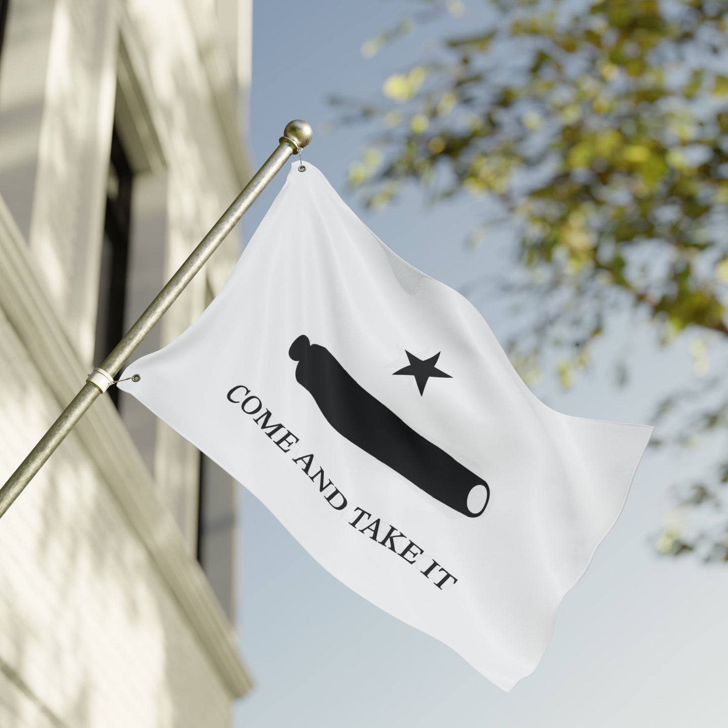 Come and Take It Double Sided Flag